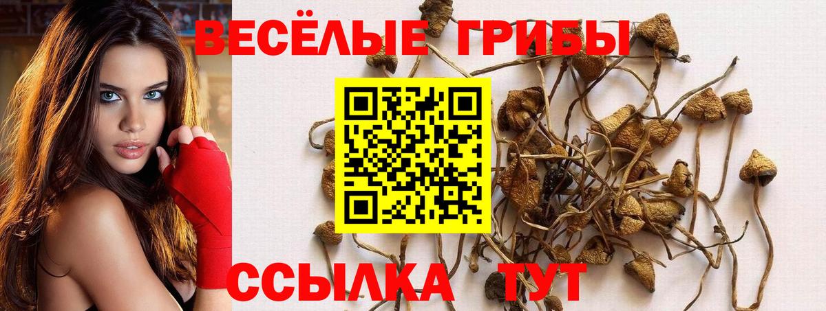 Псилоцибиновые грибы мухоморы Железногорск