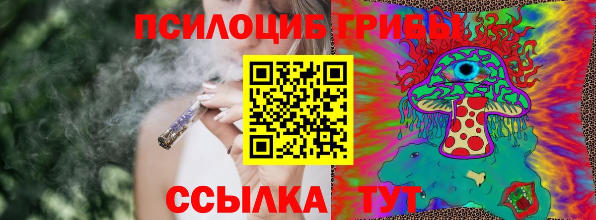 Галлюциногенные грибы Magic Shrooms  Галлюциногенные грибы Cubensis  Железногорск  Вход с VPN 